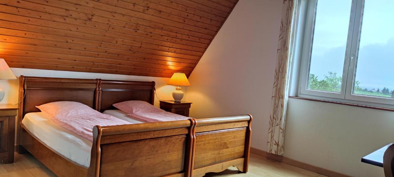 Chambre D'Hotes De La Tulipe Mittelbergheim Exterior photo